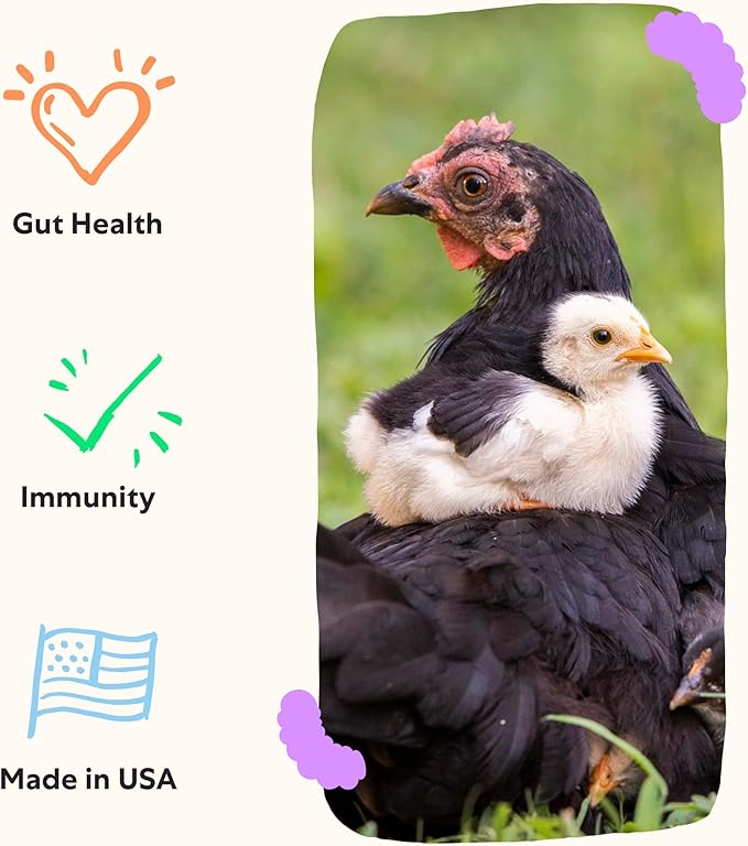 Grubbly Farms Prebiotics + Probiotics for Chickens (30 Day)