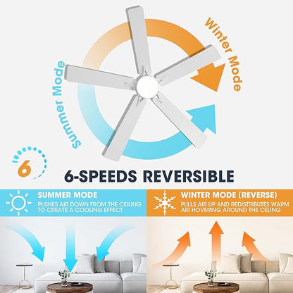 WINGBO 60" Smart Ceiling Fan