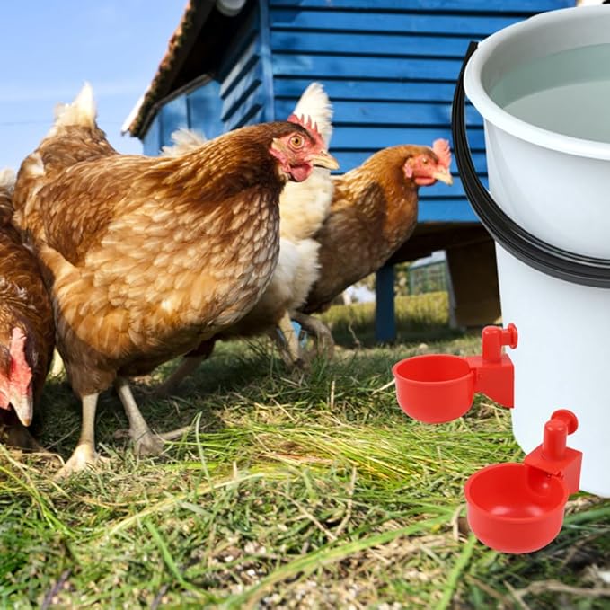 12 Pack Large Automatic Chicken Waterer Cups with Mounting Hole Opener, Plastic Chicken Water Feeder Chicken Water Bowls Poultry Water Feeder Kit for Chicks, Duck, Goose, Turkey and Bunny