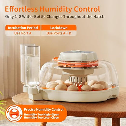 Chicken & Quail Egg Incubator, 2 Egg Trays, Automatic Egg Turning with Auto Stop, Humidity Control, Adjustable Incubation Day & Period, Auto Water Refill, Egg Candler, Clear View, APDOE HatchElite 12
