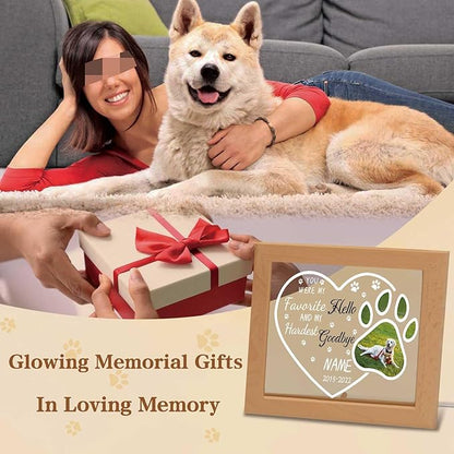 Custom Pet Memorial Night Light