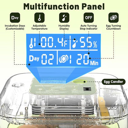 12 Egg Incubator with Automatic Egg Turning and Humidity Control, LED Egg Candling Light, Customized Incubation Days, Incubators for Hatching Eggs, Chicken Quail Parrot Pigeon Birds, Green
