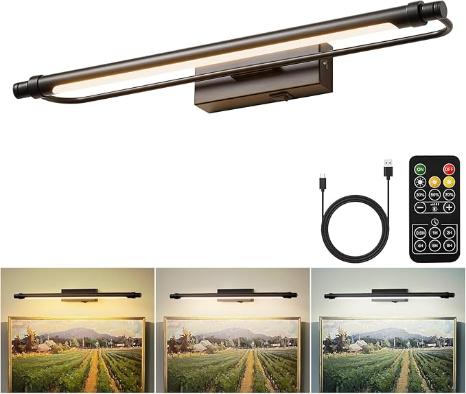 ZitoStory Battery Operated Picture Light