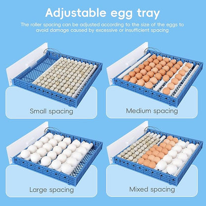 120 Eggs Smart Incubation Machine with Automatic Egg Turning&Temperature Control, Poultry Hatcher with 120-Egg Capacity&Humidity Regulation (Blue-1, 64)