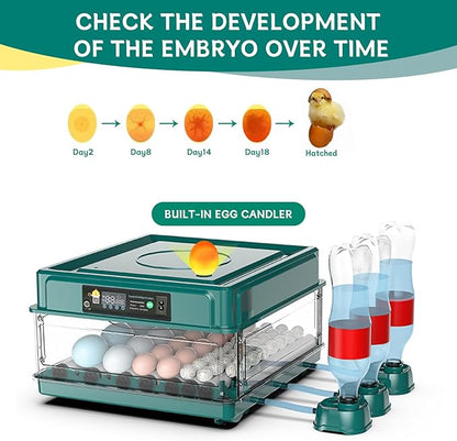Automatic Egg Incubator 12-38 Eggs Automatic Poultry Intelligent Incubator for Hatching Eggs,with Automatic Turner, Egg Candler&Temperature Control,for Hatching Chicken Quail Bird Duck Eggs (38 EGGS)