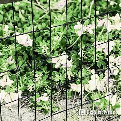 Fencer Wire 16 Gauge Green Vinyl Coated Welded Wire Mesh Size 2 inch X 3 inch, Black, 2x50 ft