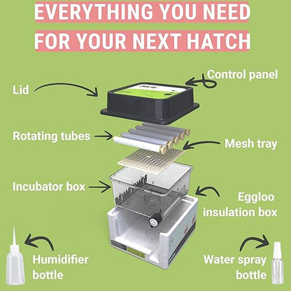 OBI-12 Incubator for Hatching Eggs – 12 Eggs, Easy to Use, Stable Temperature & Humidity Control with Eggloo Insulation - Green