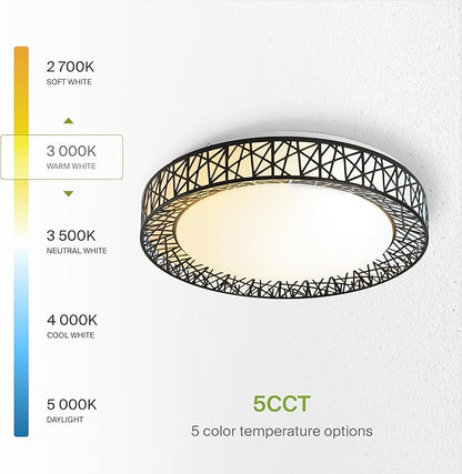 ASD 20 Inch LED Flush Mount Ceiling Light Fixture