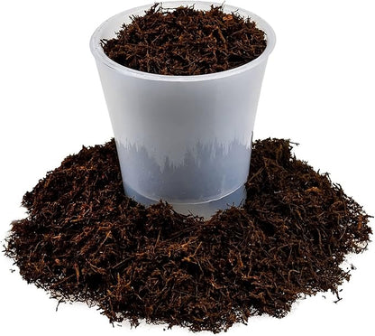 Premium New Zealand Tree Fern by GARDENERA - Orchid and Epiphytal Plants Growing Medium and Reptile Substrate - 3 Quart Bag