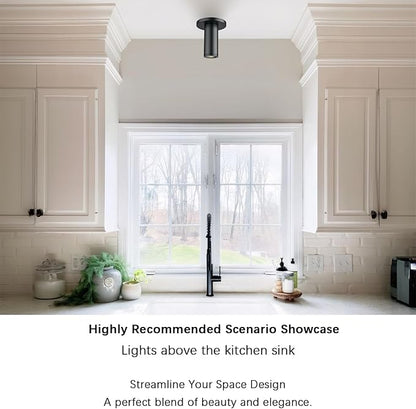 Soft Black Ceiling Light Fixture, Flush Mount LED Dimmable Cylinder Spot Light