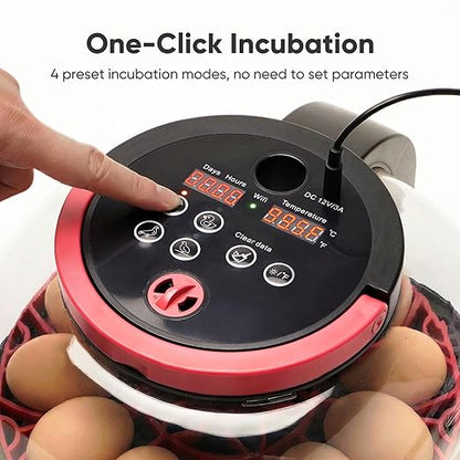 Incubators for Hatching Eggs, 12 Egg Smart Incubator with 1080P Camera & App Control, One-Click Incubation for Chicken Quail Duck, Auto Egg Turner, External Water Refill, Egg Candler