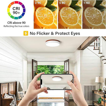 LED Ceiling Light Dimmable, Minimalist Round Ceiling Lamp Modern Lighting