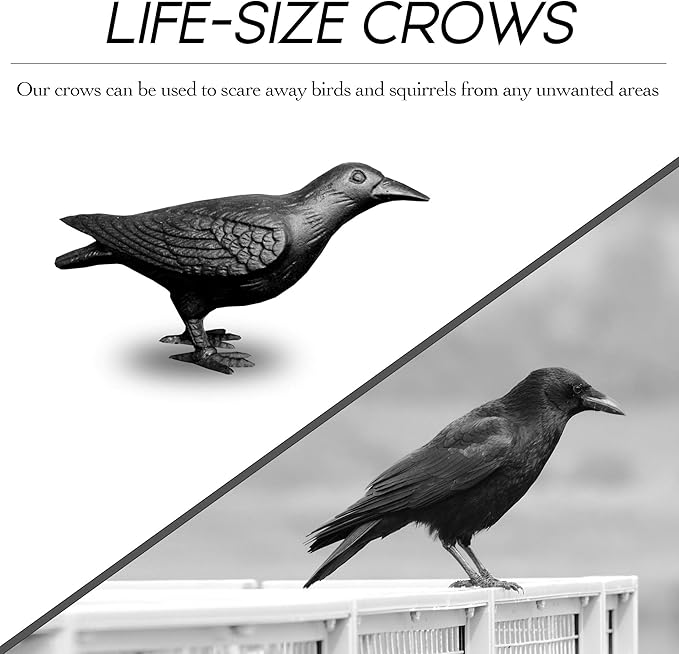 NACH Crow Decor, 4.5 x 11 x 3.5 inch, Cast Iron Black Raven Statue, Raven Decor for Outside - Head Up Crow Statue