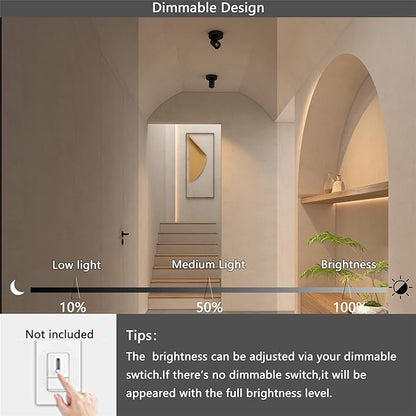 Flush Mount Ceiling Spotlight Dimmable Small Indoor Ceiling Light, Adjustable