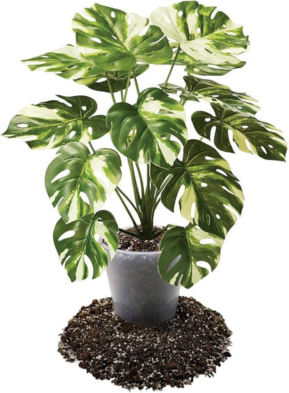 Premium Aroid Potting Mix - Soil Free Blend for Aroids - Growing Medium for House Plants by Gardenera - (2 Quart Bag)