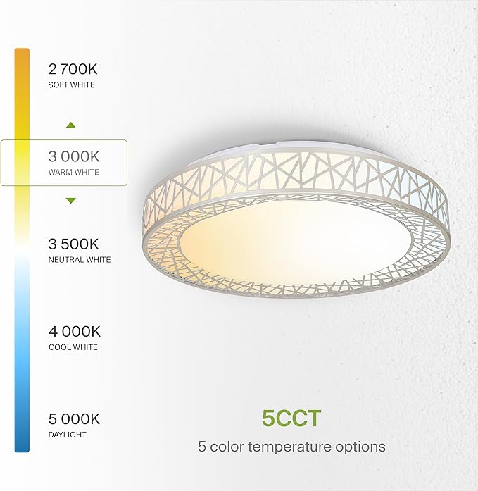 ASD 18 Inch LED Flush Mount Ceiling Light Fixture