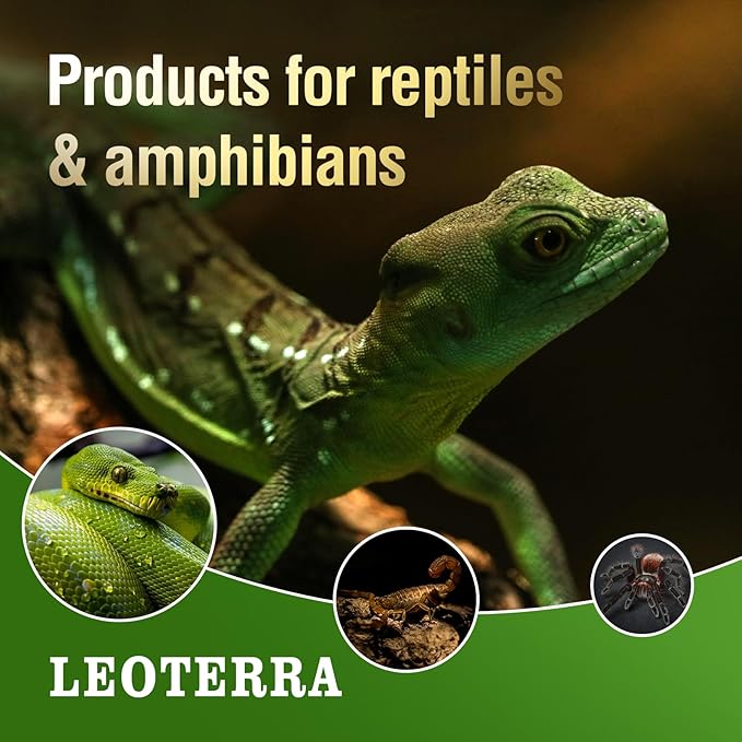 Leoterra 50W Ceramic Heat Emitter Bulb, Low Wattage Reptile Heat Lamp for 10-20 Gallon Small Terrarium, Gentle No-Light Heat Source for Bearded Dragons, Geckos, Frogs, Hermit Crabs (2-Pack)