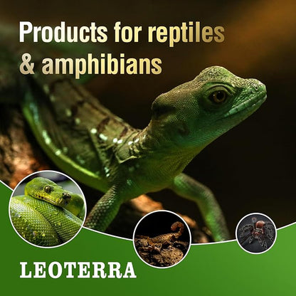 Leoterra 50W Ceramic Heat Emitter Bulb, Low Wattage Reptile Heat Lamp for 10-20 Gallon Small Terrarium, Gentle No-Light Heat Source for Bearded Dragons, Geckos, Frogs, Hermit Crabs (2-Pack)