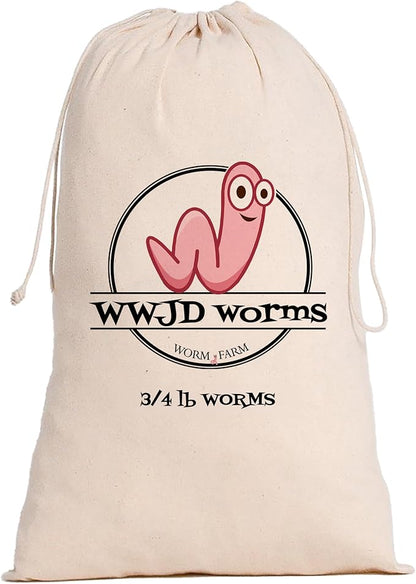 Red Wigglers Composting Worms - 3/4lb Red Worms for Composting Bin, for Plants or Gardening, Compost Worm for Soil Fertility & Worm Farm, Easy to Manage