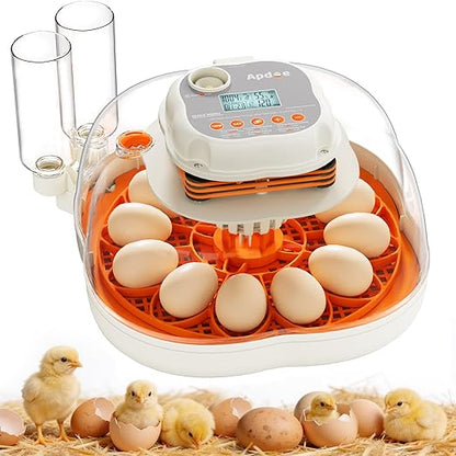 Chicken & Quail Egg Incubator, 2 Egg Trays, Automatic Egg Turning with Auto Stop, Humidity Control, Adjustable Incubation Day & Period, Auto Water Refill, Egg Candler, Clear View, APDOE HatchElite 12