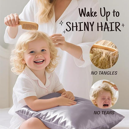 OLESILK 100% Mulberry Silk Toddler Pillowcase for Hair and Skin, Both Sides 19 Momme Pure Natural Silk Travel Pillow Cases with Hidden Zipper, 13"x 18", Iron Grey