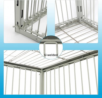 Pigeon Trap Cage with Escape-Proof Design – Auto Bird Trap Cage for Pigeons and Small Birds | Multi-Catch Pigeons Birds Traps for Sale with Well Anti-Rust Baking Paint- L Size
