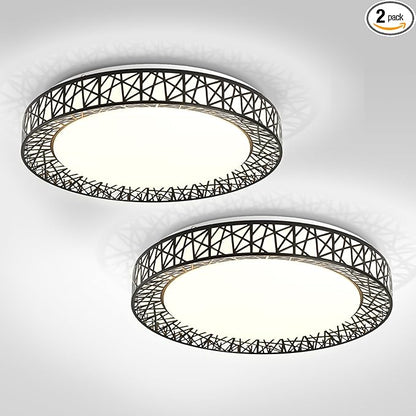 ASD 20 Inch LED Flush Mount Ceiling Light Fixture