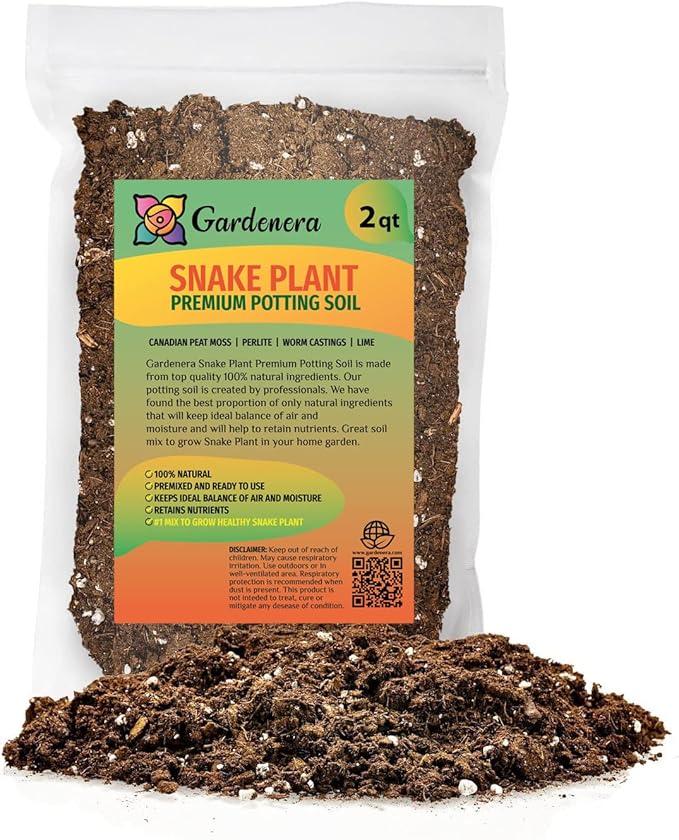 GARDENERA Premium Snake Plant Potting Soil Mix, Green Sansevieria Trifascatia Zeylanica Plants, Plant or Re-Pot Your Snake Plant - (2 Quart Bag)
