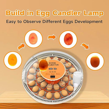 30 Egg Incubator with Automatic Egg Turning and Humidity Control/Display, Poultry Incubator with Water Refill, 360°Clear View, Air Vent, Candling Light, Hatching Chicken Quail Duck Goose Birds