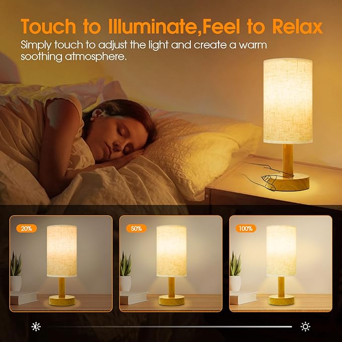 Small Cordless Touch Bedside Table Lamps Set of 2, Minimalist Dimmable