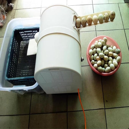 Electric Egg Washing Machine, Egg Washer Machine, Automatic Egg Washer Machine, 2300 Pcs/H Chicken Duck Goose Egg Egg Cleaner Wash Machine (Color : 220V)