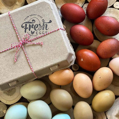 "Vintage Egg Cartons for 12 Large Eggs – Classic 3x4 Layout – Durable Recycled Cardboard – Farmhouse Style – Eco-Friendly Packaging - Tan 25 Pack