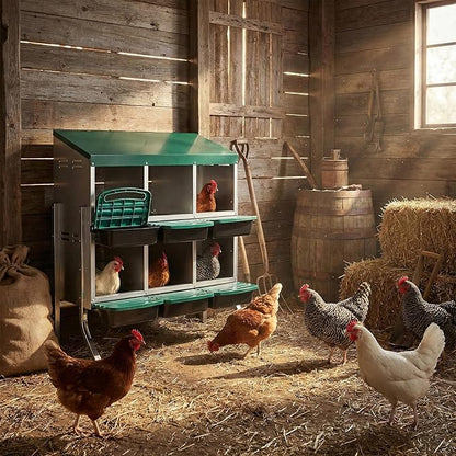 6-Hole Chicken Nesting Box with Roll Away Design Galvanized Steel Poultry Nesting Box for Hens Easy Clean Removable Trays for Backyard Coop 31.9 x 20.4 x 29 Inches