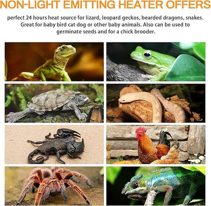 HealSmart 100W Reptile Heat Lamp Bulb, No Light Emitting Ceramic Heat Emitter, Brooder Coop Heater for Amphibian Pet & Incubating Chicken, 2 Pack, White