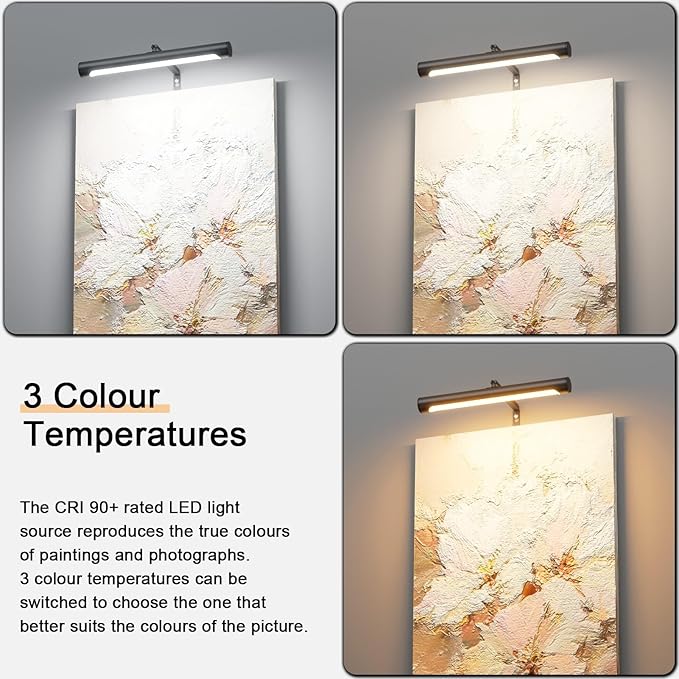 4W Picture Light Plug in, Dimmable Wall Light