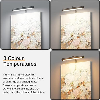4W Picture Light Plug in, Dimmable Wall Light
