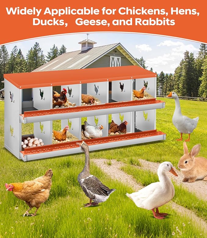 10 Compartment Nesting Boxes for Chickens, Chicken Nesting Box to Protect Eggs, Chicken Laying Boxes, Easy to Clean and Install