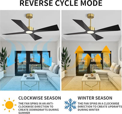 WINGBO 64" Wet Rated Outdoor Ceiling Fan