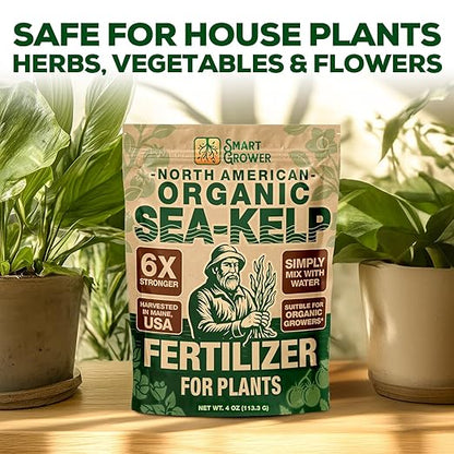 Organic Sea Kelp Fertilizer for Plants – Water-Soluble – Makes 100 Gallons – Kelp Meal Concentrate Plant Food – for Indoor Gardens, Hydroponics, Vegetables, Houseplants - Smart Grower - 4oz Bag