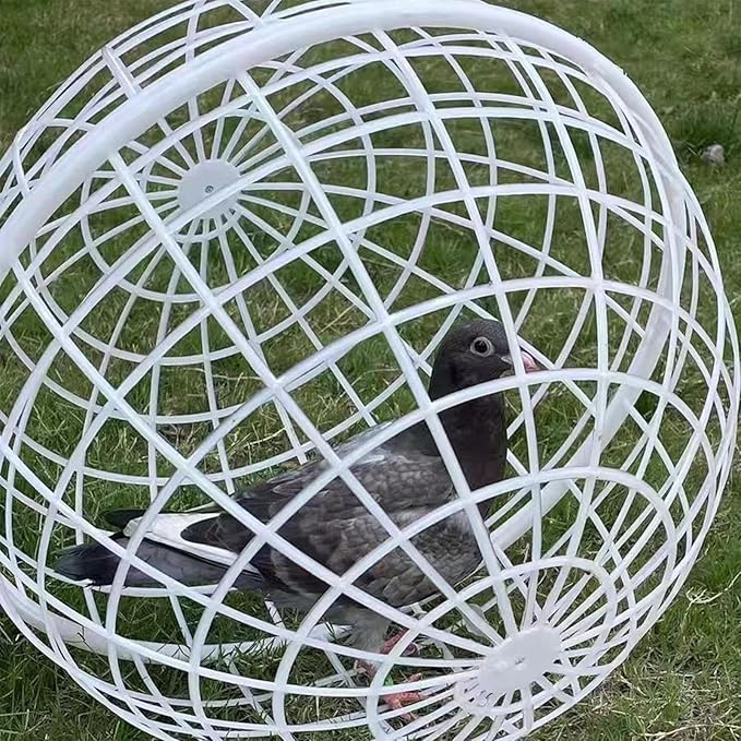 3 Pieces Ball-Shaped Movable Chicken Coop Farm Courtyard Outdoor Rolling Pigeon Bunny Duck Hutch Safety Balls Cage Preventing Dog Bites Trampled by Horse