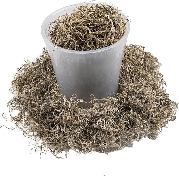 Premium Natural Spanish Moss | Natural Preserved - Great Ground Cover - Filler for Potted Plants - by GARDENERA - 3 Quart Bag