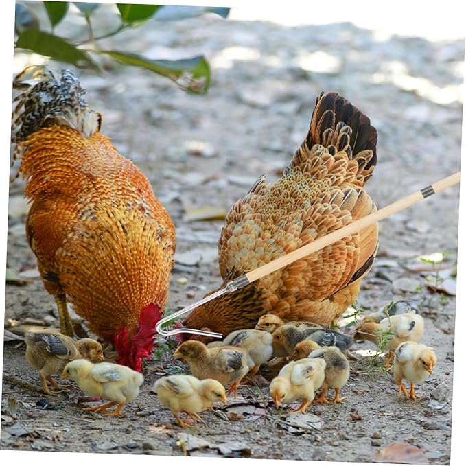 POPETPOP Heavy Duty Chicken Catcher Hook Pole Poultry Handling Tool for Farms Humane Capture and Efficient Chicken Catching