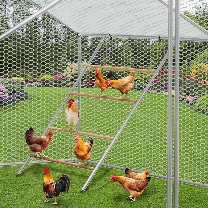 55x39 Chicken Perch for Coop,Chicken Roosting Bars for Backyard Poultry Farm, Roost Bars for Hen Coop Accessories, Easy Installation