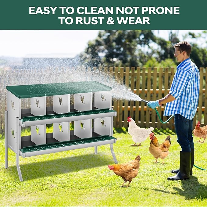 Ventilated Rustproof Design - Metal Chicken Nesting Box for Small Animals - 8 Compartments, Wall-Mounted, Roll Away, Easy Egg Collection & Cleaning - Green