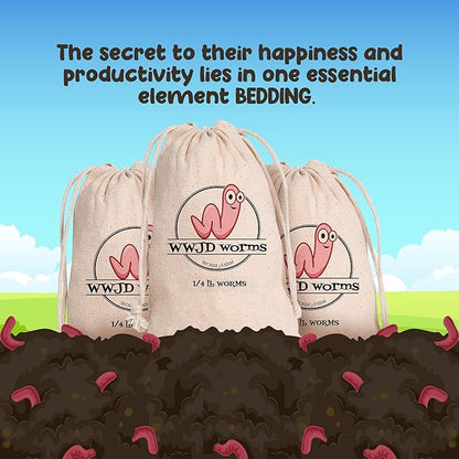 Red Wigglers Composting Worms - 1/4lb Red Worms for Composting Bin, for Plants or Gardening, Compost Worm for Soil Fertility & Worm Farm, Easy to Manage