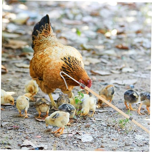 Chicken Catcher Leg Hook Farm Equipment Poultry Management Tool Animal Net for Chicken Supplies
