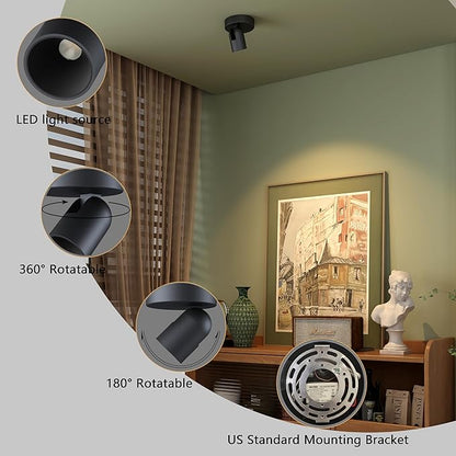 Flush Mount Ceiling Spotlight Dimmable Small Indoor Ceiling Light, Adjustable