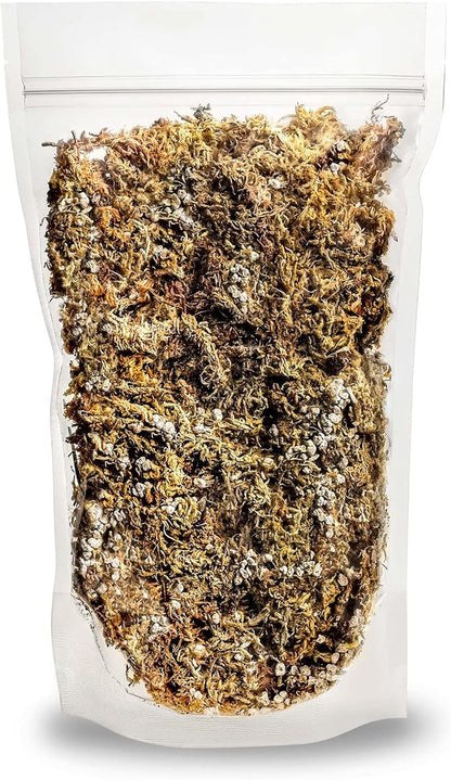 GARDENERA Sphagnum Moss Potting Mix for Carnivorous Plants, Moss and Perlite Blend for Potting Venus Fly Traps, Sarracenia, Pitcher Plants - 75% Sphagnum Moss + 25% Perlite - Made in USA - 3 Quart