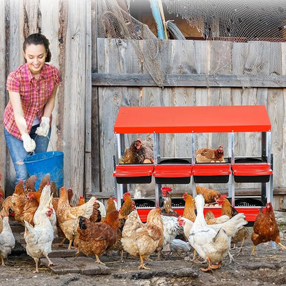 Heavy Duty 8 Hole Chicken Nesting Box with Roll Away Egg Collection System - Rustproof Plastic Tray, Ventilation Holes & Keyhole Mounting - Laying Box for Hens and Ducks (Green)