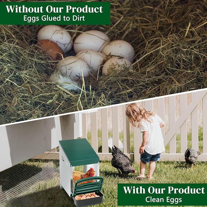 Single Compartment Chicken Nesting Box with Plastic Basket, Perch Cover for Hen, Egg Nest Box Chicken Laying Box Hens with Swing Perch and Roll Out Egg Collection for Chicken Coop